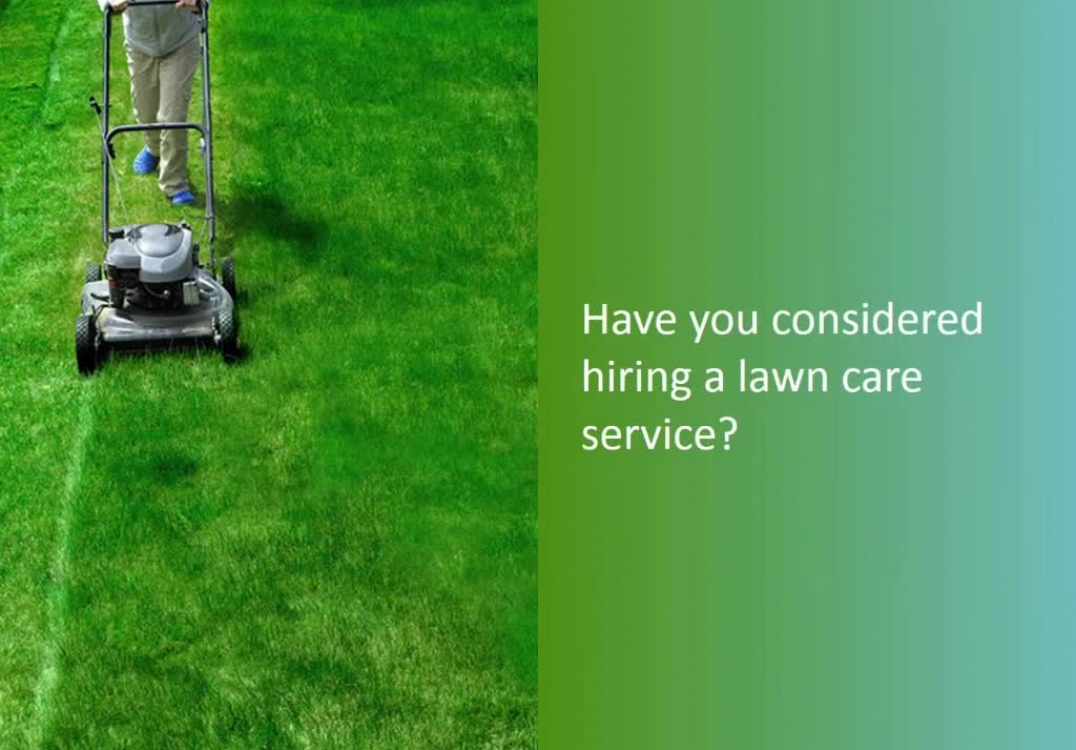 Houston Mortgage Consultant reveals 7 tips for choosing the right lawn care provider