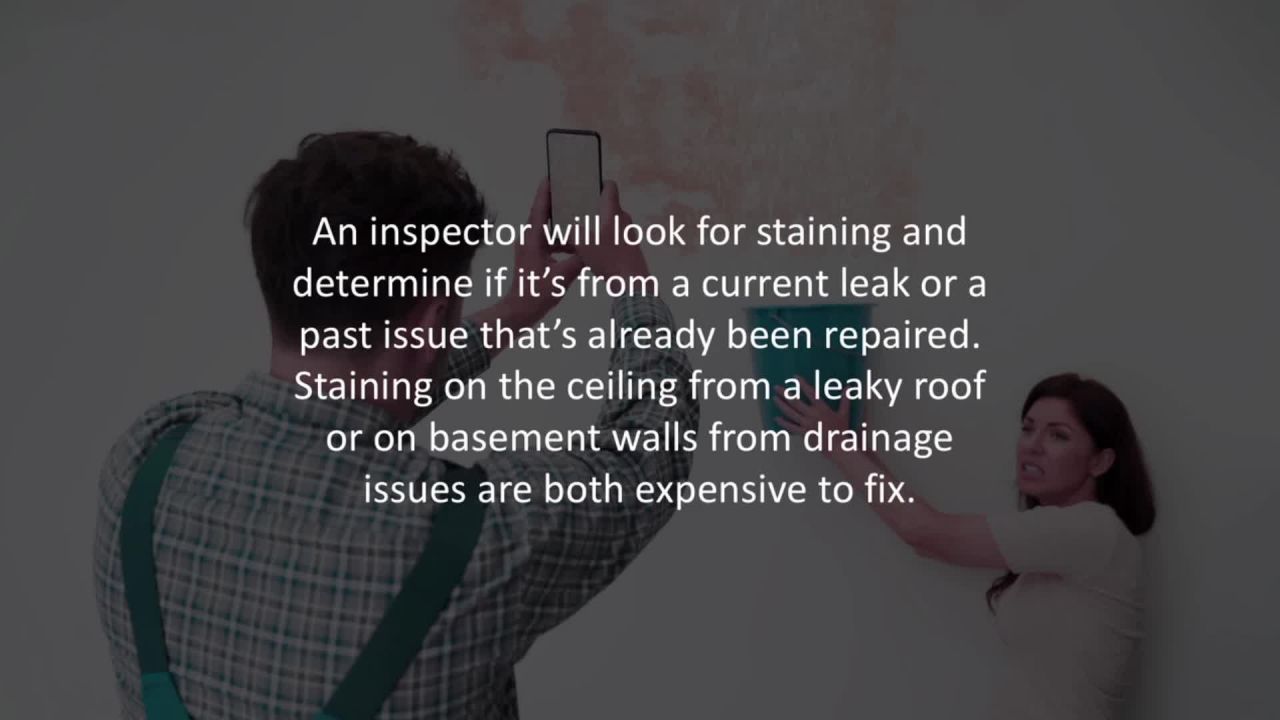 ⁣St George Mortgage Broker reveals  5 home inspection red flags